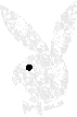 graybunny.gif